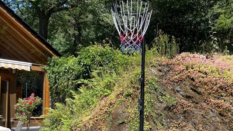 A basketball hoop stands in a green garden in front of a wooden house. The surroundings are adorned with plants and bushes.