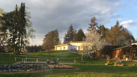 Un paysage tranquille avec un grand jardin vert et plusieurs arbres. En arrière-plan, on aperçoit une maison résidentielle et une petite construction en bois.