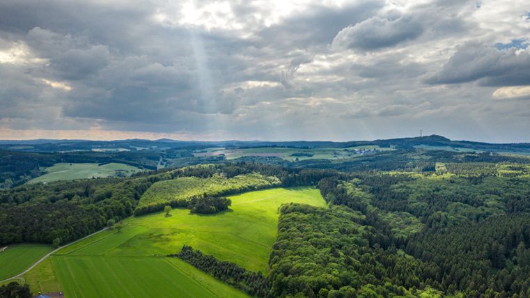 Landschap van de Vulkaaneifel met bossen en velden onder een bewolkte hemel.