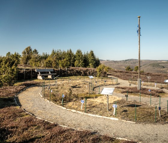 View from the Wabelsberg on the Traumpfad Wacholderweg, © Eifel Tourismus GmbH, D. Ketz