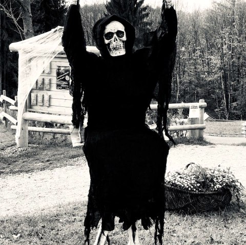 Halloween, © Saxler
