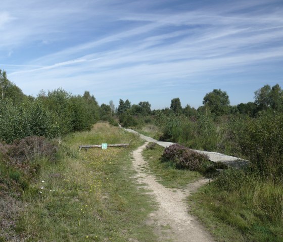 Sur la passerelle à travers la lande, © Gemeinde Kreuzau