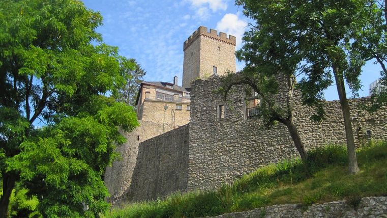 Burg Kerpen mit Turm und Mauer, umgeben von Bäumen.