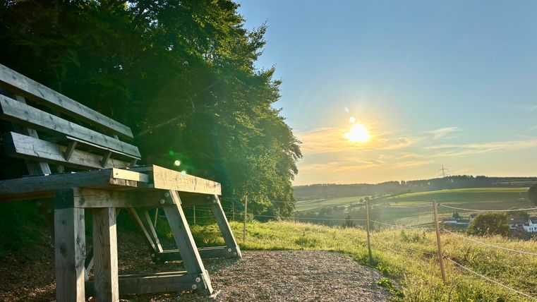 A wooden bench is located on a hill with a view of the landscape. The sun is shining on the horizon and the sky is clear.