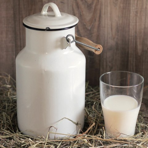Pot à lait, © Pixabay