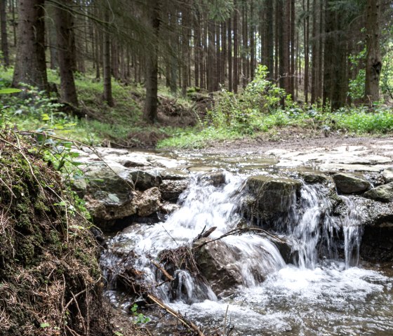 Eifeltraject Münstereifelsteig - Bülgesbach, © Nordeifel Tourismus GmbH