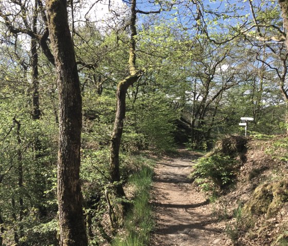 Out and about on the Grafschaft Trail, © Eifel Tourismus GmbH