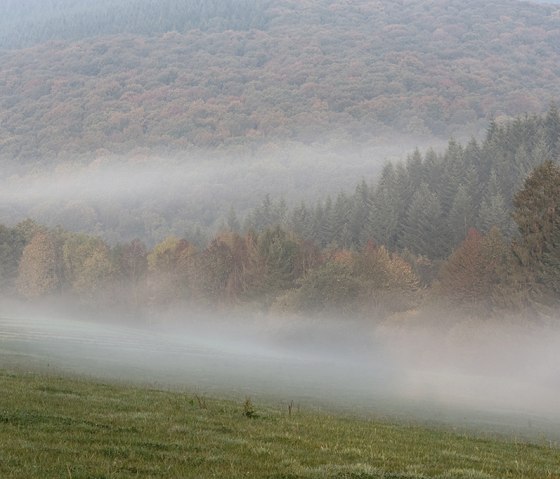Nat'Our Route 6, paysage de brouillard, © Naturpark Südeifel, P. Haas