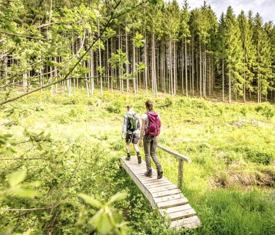 Parc de randonnée naturelle deluxe Bach-Pfad Ihrenbach, © Eifel Tourismus GmbH, D. Ketz