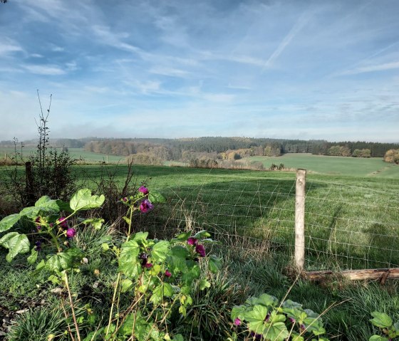 Ausblick Wiesen und Wälder - 1680, © Sweco GmbH