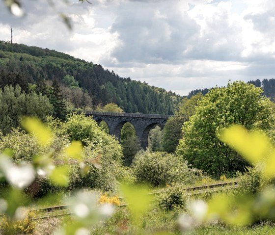 Dauner Viadukt, © Naturnest