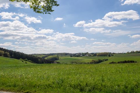 Grüne Wiesen und Wälder unter blauem Himmel mit Wolken im Naturschutzgebiet Erftaue.