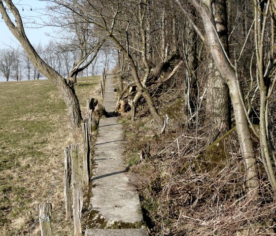Forest path, © Monschau-Touristik