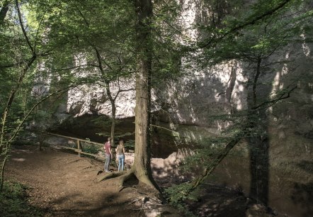 Randonnée dans les gorges du loup, © Kappest/Vulkanregion Laacher See