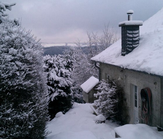 behind the house