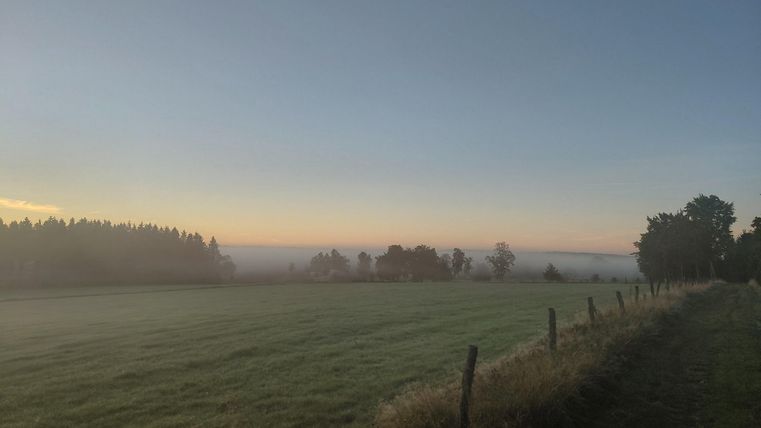 Un paysage paisible avec un champ brumeux et un doux lever de soleil. Des arbres sont visibles à l'horizon.