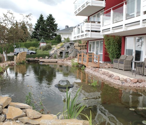 Outdoor area with pond