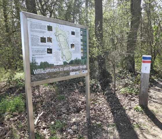 Info- & Willkommenstafel in der Drover Heide., © Sophia Eckerle