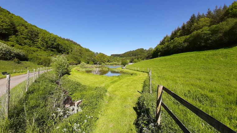 Landschap met visvijver, weiden en bos bij Deudesfeld.