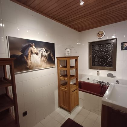 Das Doppelzimmer verfügt über ein großes Bad mit Dusche und Badewanne.