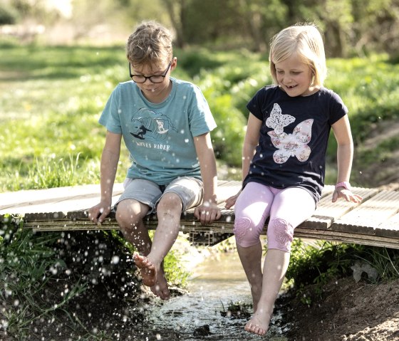 Water marsh - Mertloch water playground, © Eifel Tourismus GmbH, Dominik Ketz