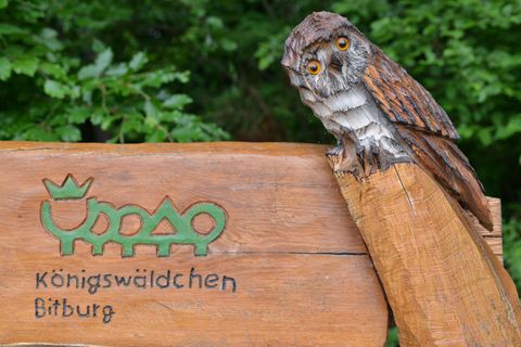 Een houten sculptuur van een uil zit op een bord met de tekst "Königswäldchen" in Bitburg. Het bord is omringd door groene bomen en straalt een natuurlijke sfeer uit.