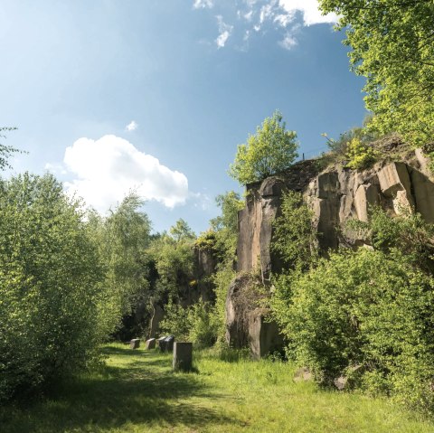Mayener Grubenfeld vulkaanpark station, rotswand, © Rheinland-Pfalz Tourismus GmbH, D. Ketz