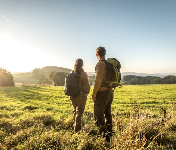 Soleil d'automne lors d'une randonnée autour du Hochkelberg, © Eifel Tourismus GmbH, D. Ketz