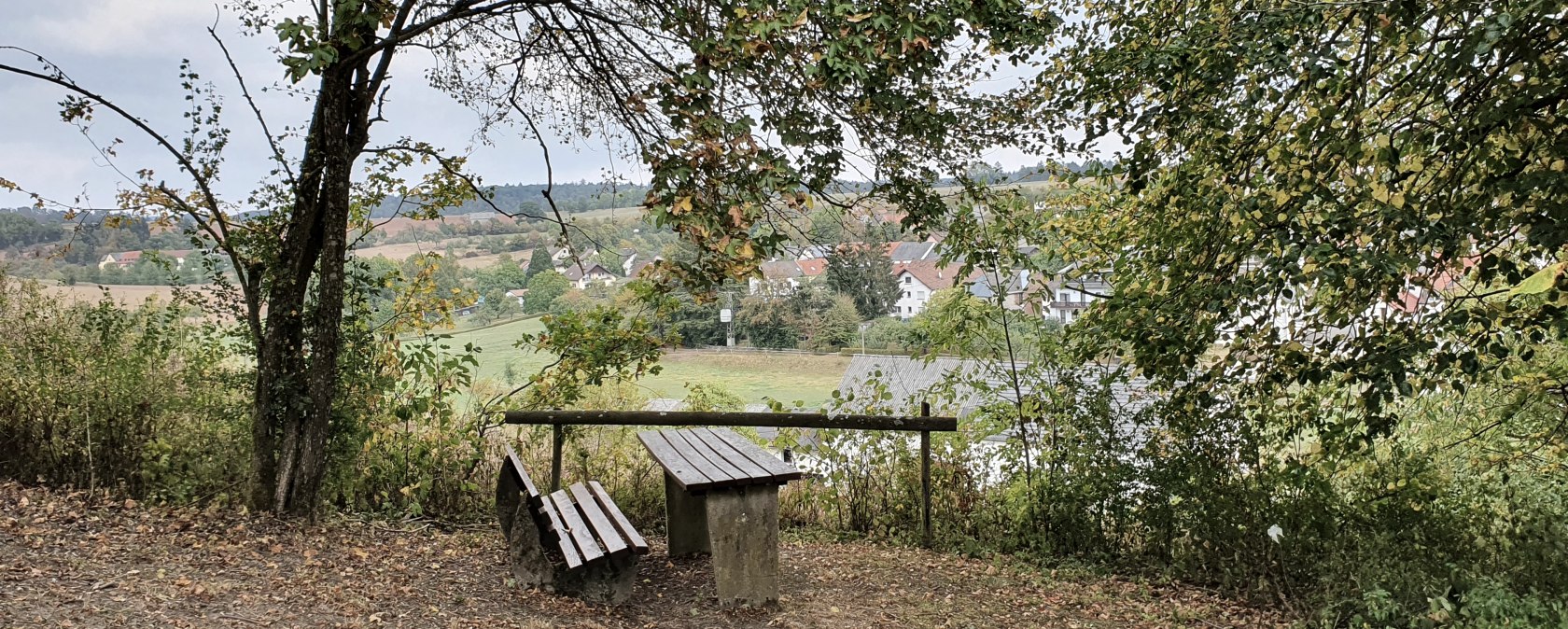 Een houten bank onder een boom biedt uitzicht op het dorp Gransdorf in een groen, heuvelachtig landschap., © TI BItburger Land - Steffi Wagner