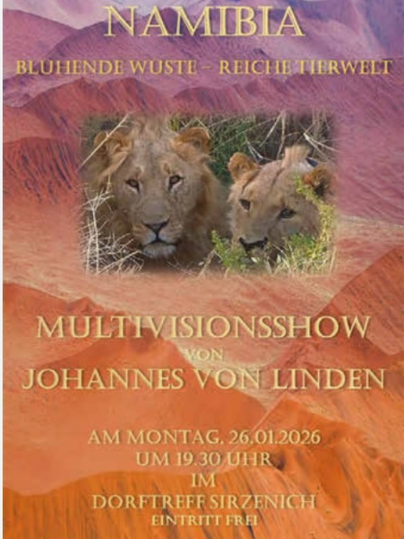 Een poster voor een multivisieshow over Namibië. Het toont leeuwen en een kleurrijke woestijnachtergrond met informatie over het evenement.