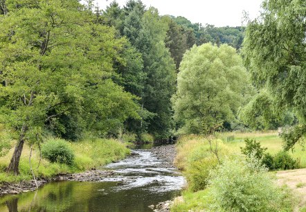 A small river meanders through a green landscape of trees and meadows. The sky is cloudy and the water reflects the surrounding greenery., © TI Bitburger Land