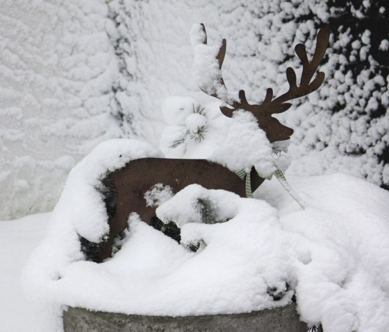 Our deer in the snow