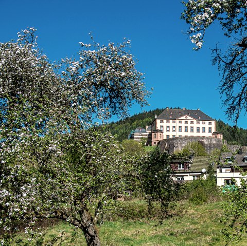 Le château de Malberg trône sur une colline, entouré d'arbres en fleurs et de maisons. Le ciel est clair et bleu., © Tourist-Information Bitburger Land_Monika Mayer