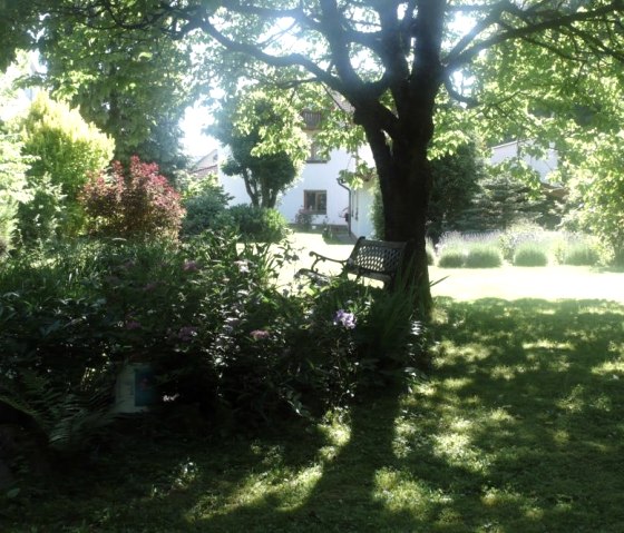 Tuin_in_Zomer