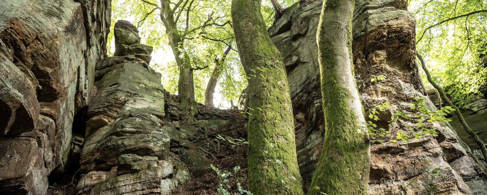Rocks at the Mandrack Passage in the NaturWanderPark delux, © Eifel Toursimus GmbH, D. Ketz