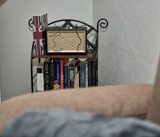 Burgstube Bücherregal u. Bluetooth Radio Nostalgie