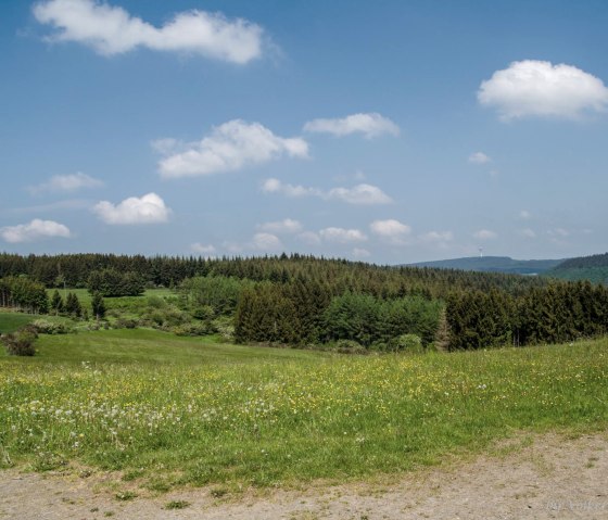 Grüne Wiesen und Blauer Himmel, © Volker Windheuser