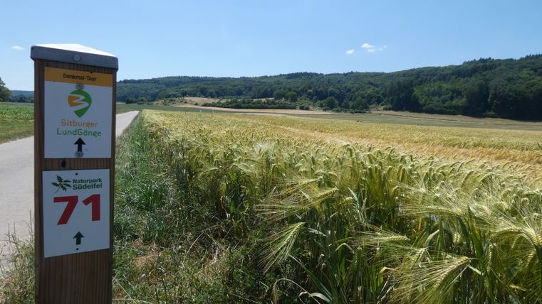 Wegwijzer voor Bitburger Landgänge in een veld met bos op de achtergrond.