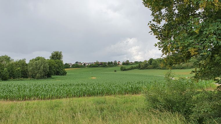 Paysage de champs et d'arbres sous un ciel nuageux.