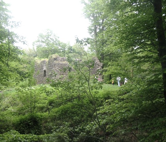 Ruines du château de Nerother Kopf, © Nicole Baller, TW Gerolsteiner Land