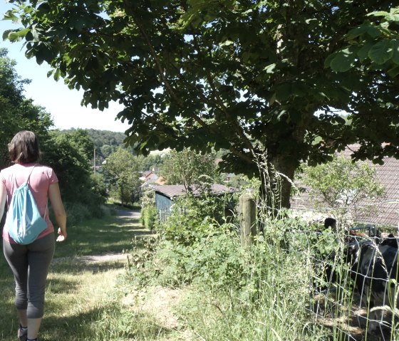 Eine Person mit Rucksack wandert auf einem grünen Pfad. Rechts steht ein Wegweiser mit der Aufschrift 'Dahner St. Lambertus-Weg'., © TI Bitburger Land