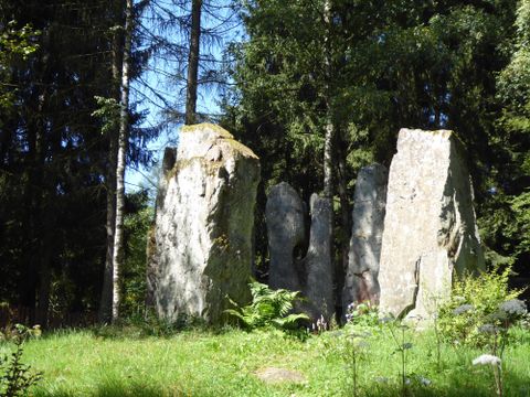 A group of large stones stands amidst a green forest. The sun shines through the trees and illuminates the stones and the surrounding grass.