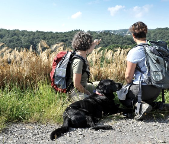 Wandelen op de rondweg Masburg Steinbach, © Schieferland Kaisersesch, Christoph Gerhartz