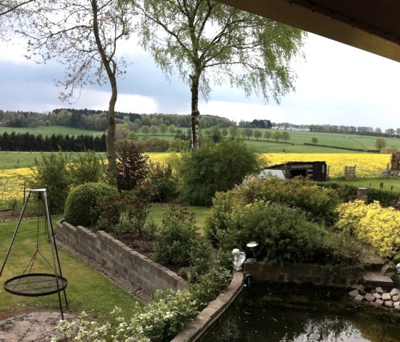 View from the terrace