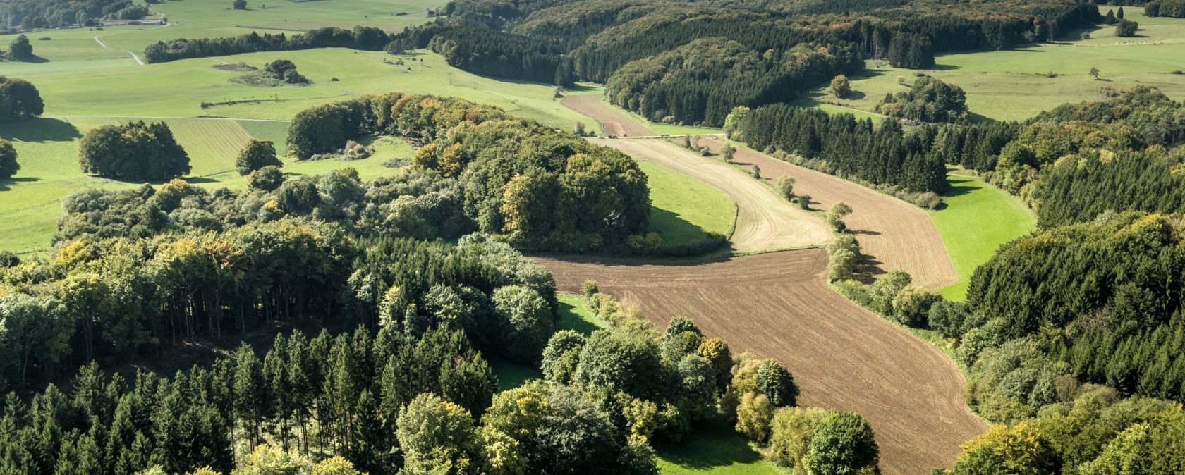 View of the Eifel on the Schneifel Trail, © Eifel Tourismus GmbH, D. Ketz