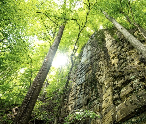Impressive rock face in the Wolfsschlucht gorge on Felsenweg 3, © Eifel Tourismus GmbH, D. Ketz