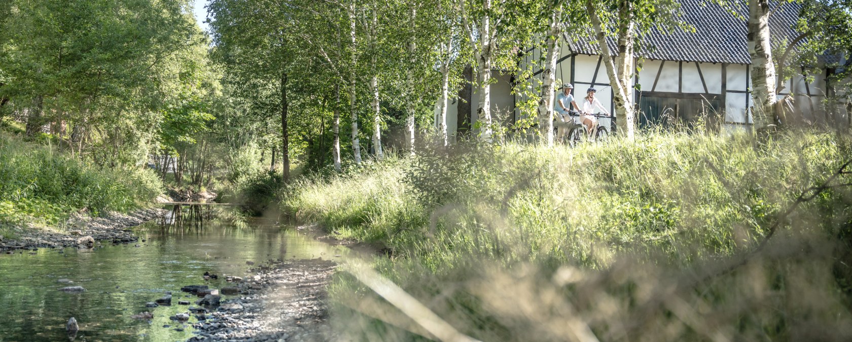 L'Urft accompagne en partie le sentier de découverte du pissenlit., © Eifel Tourismus GmbH, Dennis Stratmann