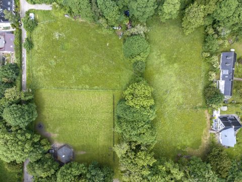 Eine große, grüne Wiese umgeben von Bäumen und einigen Häusern. Die Szene zeigt eine ruhige, naturnahe Umgebung aus der Vogelperspektive.