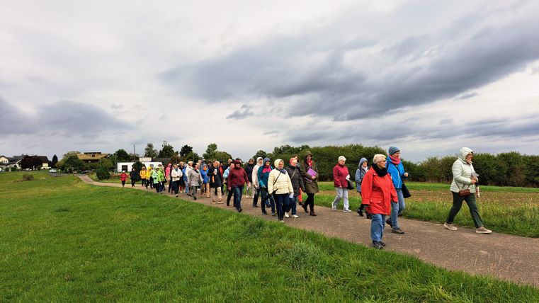 Eine Gruppe von Wanderern spaziert auf einem Weg durch eine grüne Landschaft. Der Himmel ist bewölkt, und die Teilnehmer tragen unterschiedliche Regenjacken.