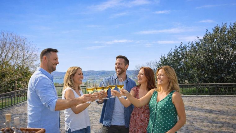 A group of five friends cheers with glasses. The scene takes place on a sunny day outdoors with beautiful views.
